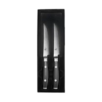 YAXELL RAN | 2 STEAK peilių rinkinys | 69 sluoksnių VG-10 Damasko plienas